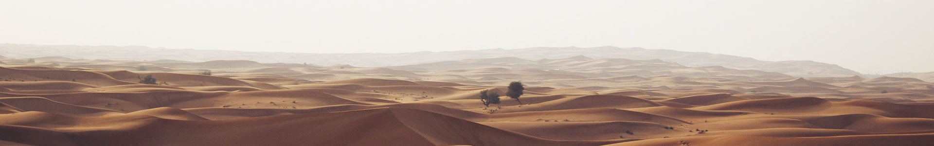 һظó޹˾